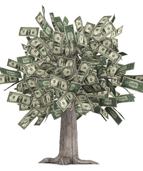 explaining that money trees are fake